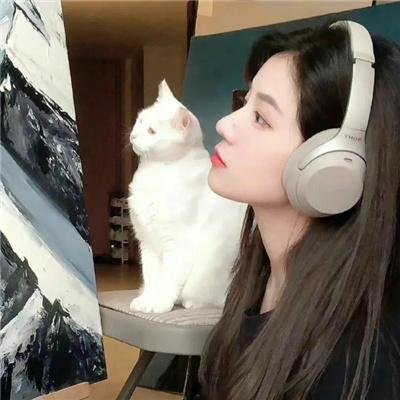 商务囧途